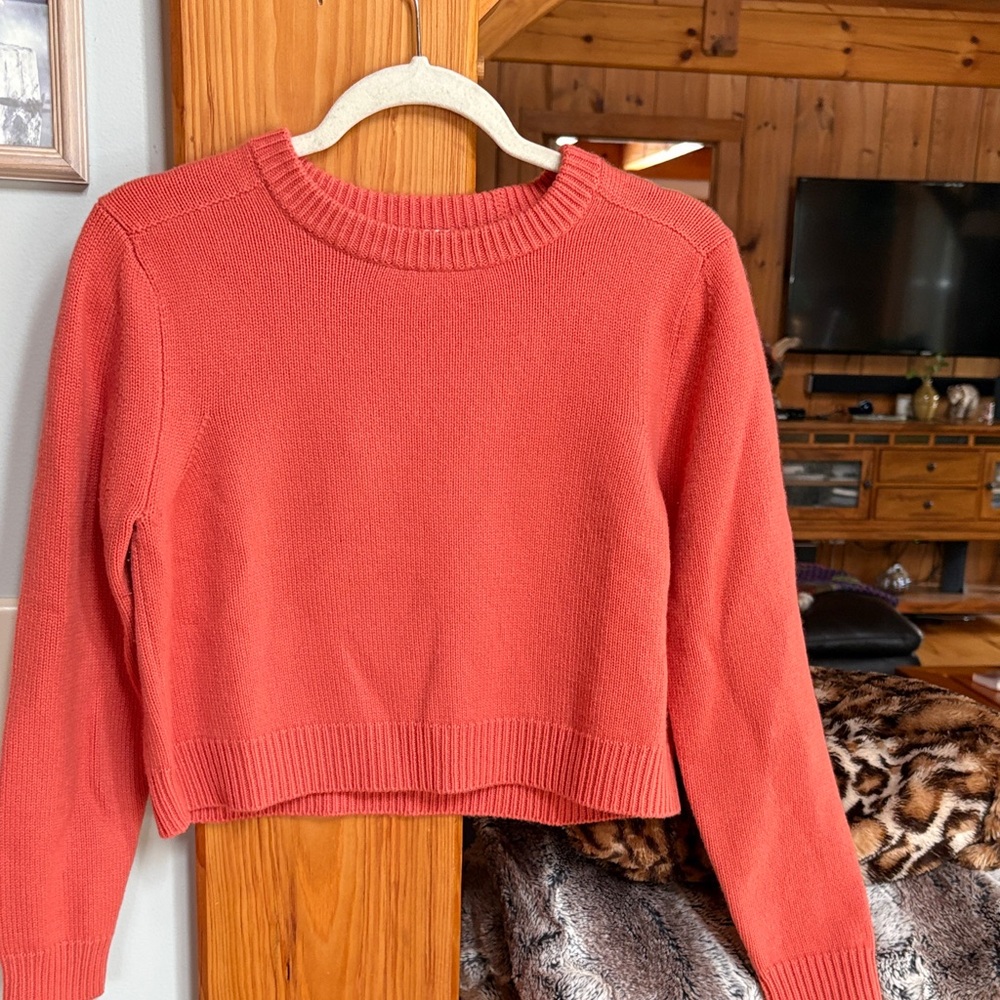Chloe Coral Crew cashmere  Neck Sweater